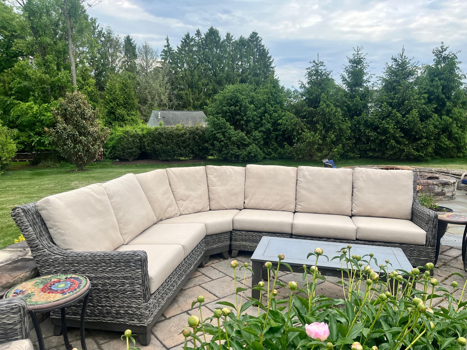 upholstery cleaning after cleaning, job 10