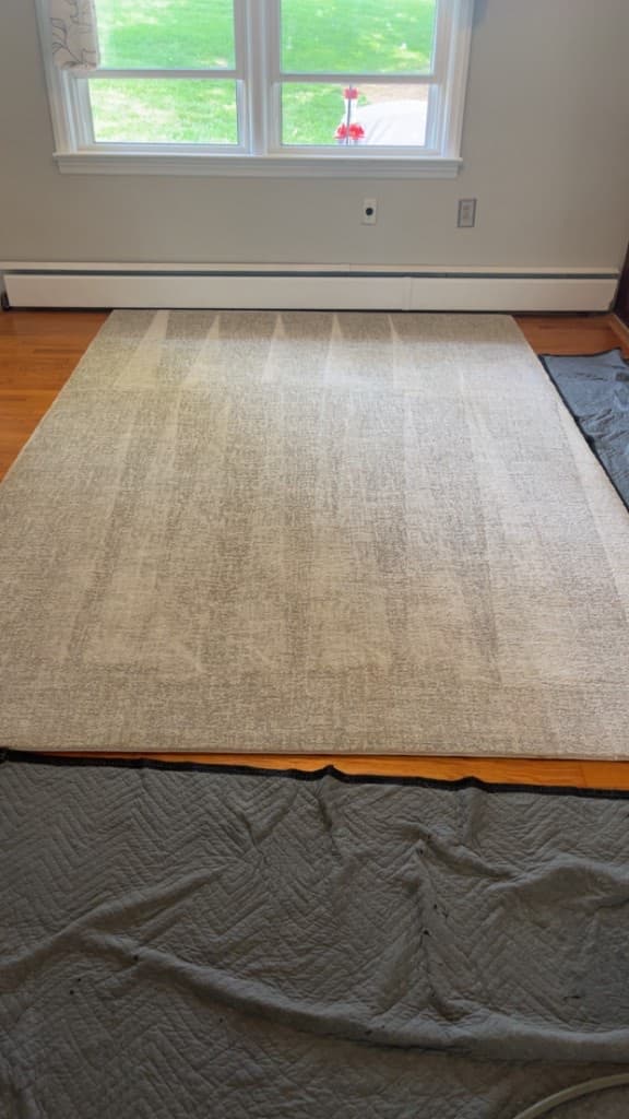 Large pale rectangular area rug on a hardwood floor near a window