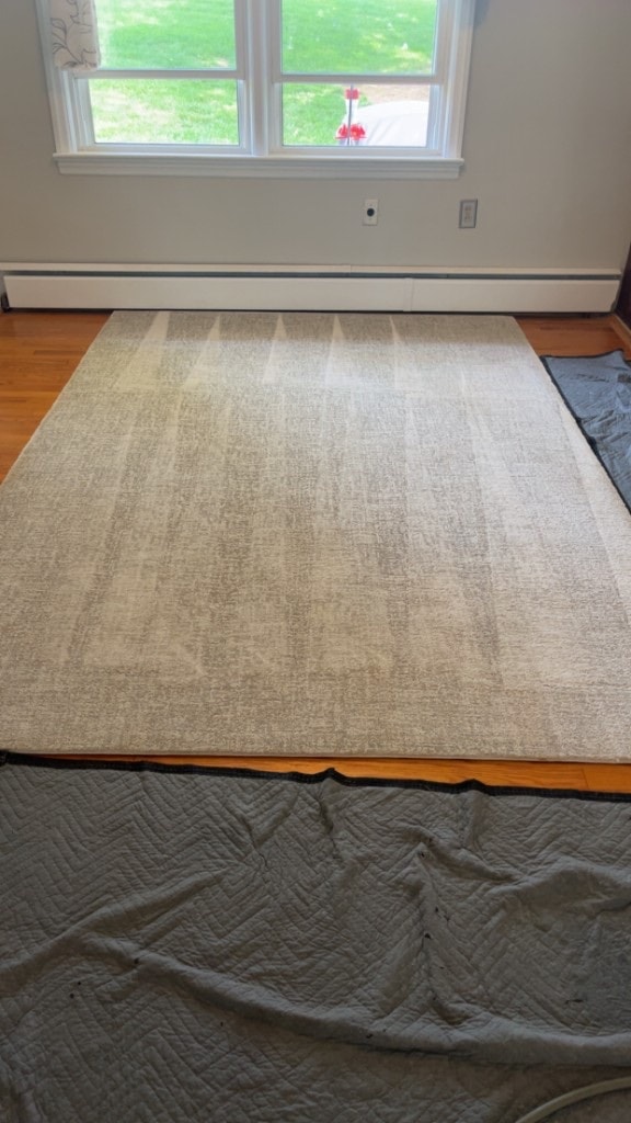 area rug cleaning after cleaning, job 13