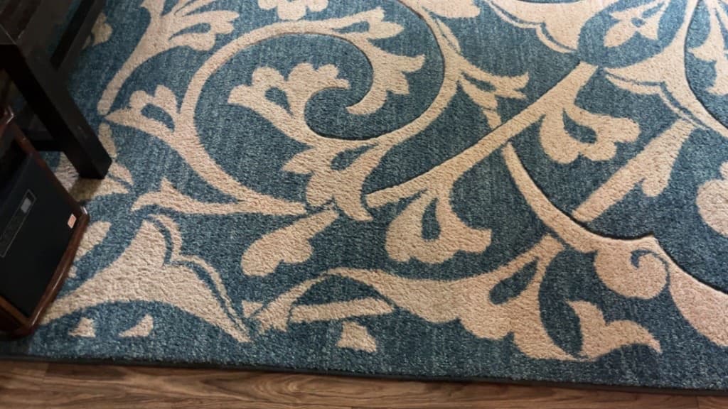 area rug cleaning after cleaning, job 15