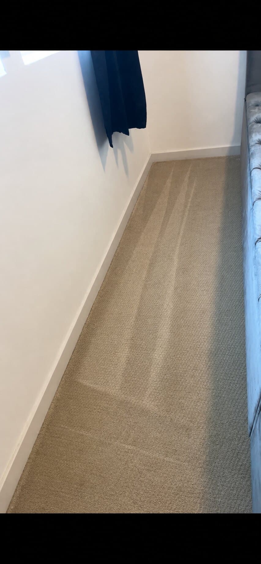 carpet cleaning after cleaning, job 20