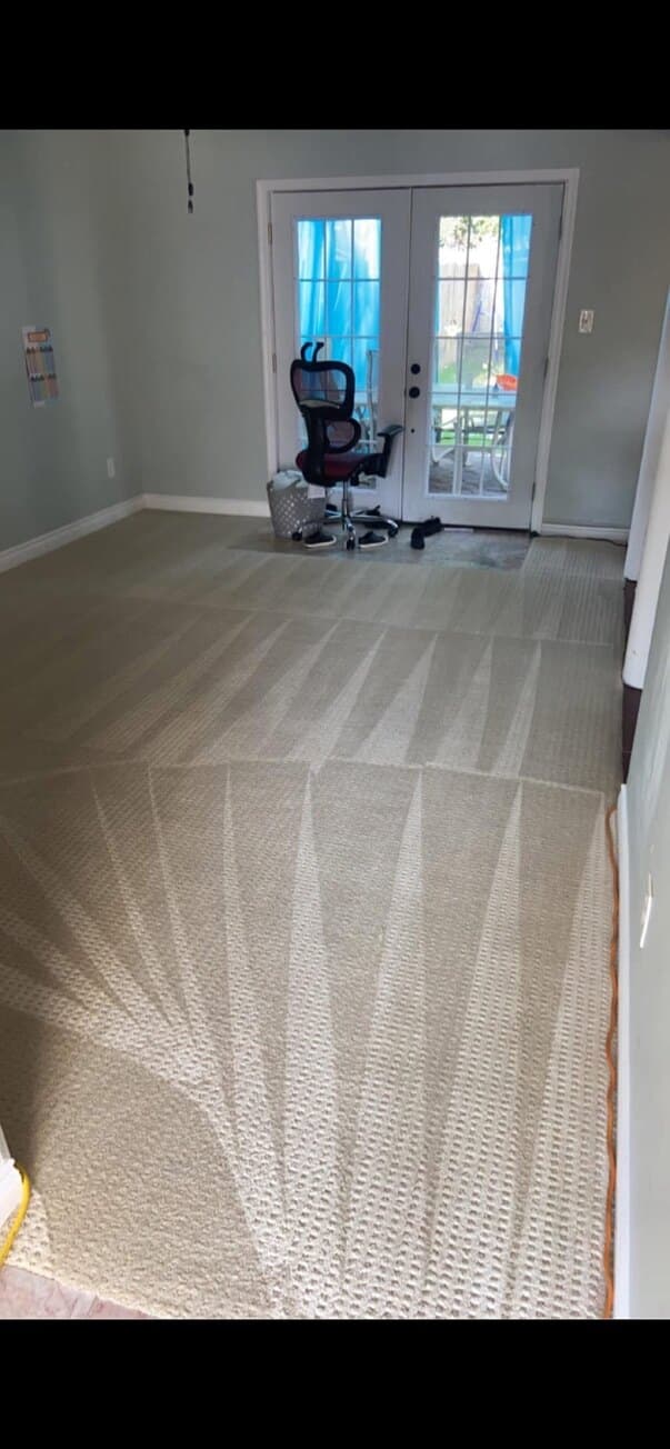 carpet cleaning after cleaning, job 21