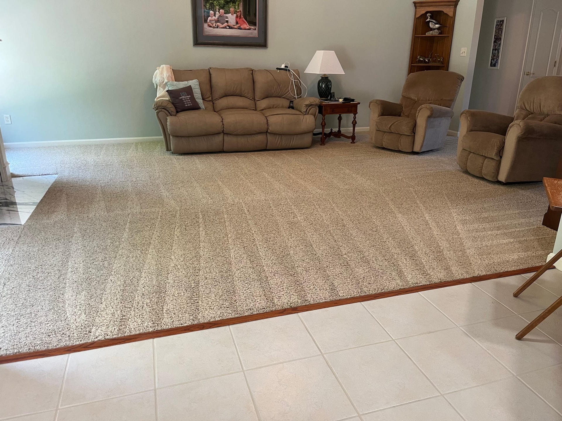 Bright, freshly cleaned carpet in a Bel Air living room