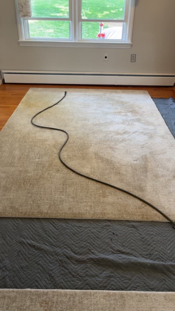 area rug cleaning before cleaning, job 13