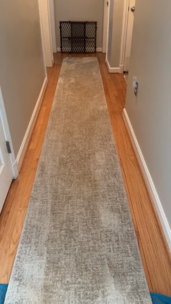 area rug cleaning before cleaning, job 14