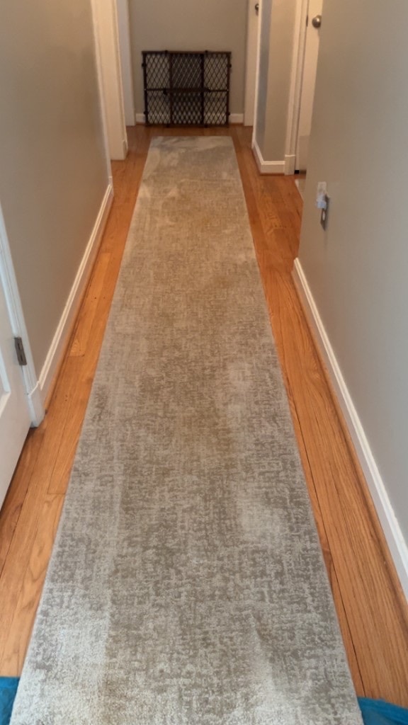 area rug cleaning before cleaning, job 14