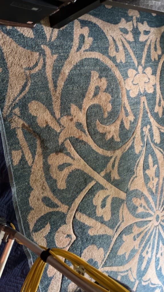 area rug cleaning before cleaning, job 15