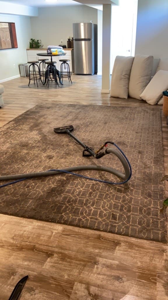 area rug cleaning before cleaning, job 16