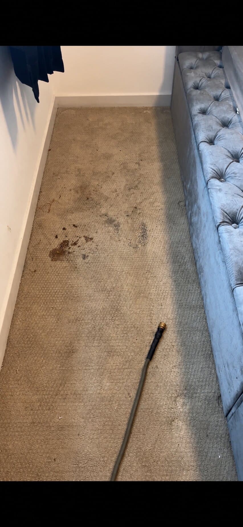 Carpet strip beside upholstered furniture with multiple visible dark spots