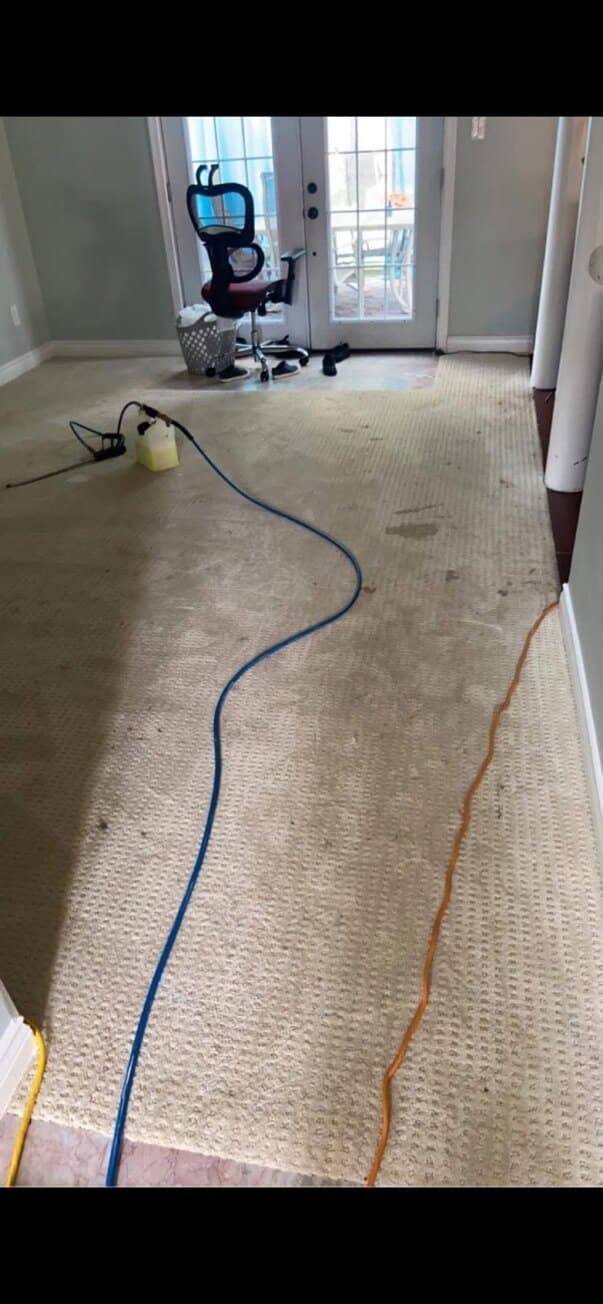 Long carpeted room with visible marks and a hose leading toward the far doorway