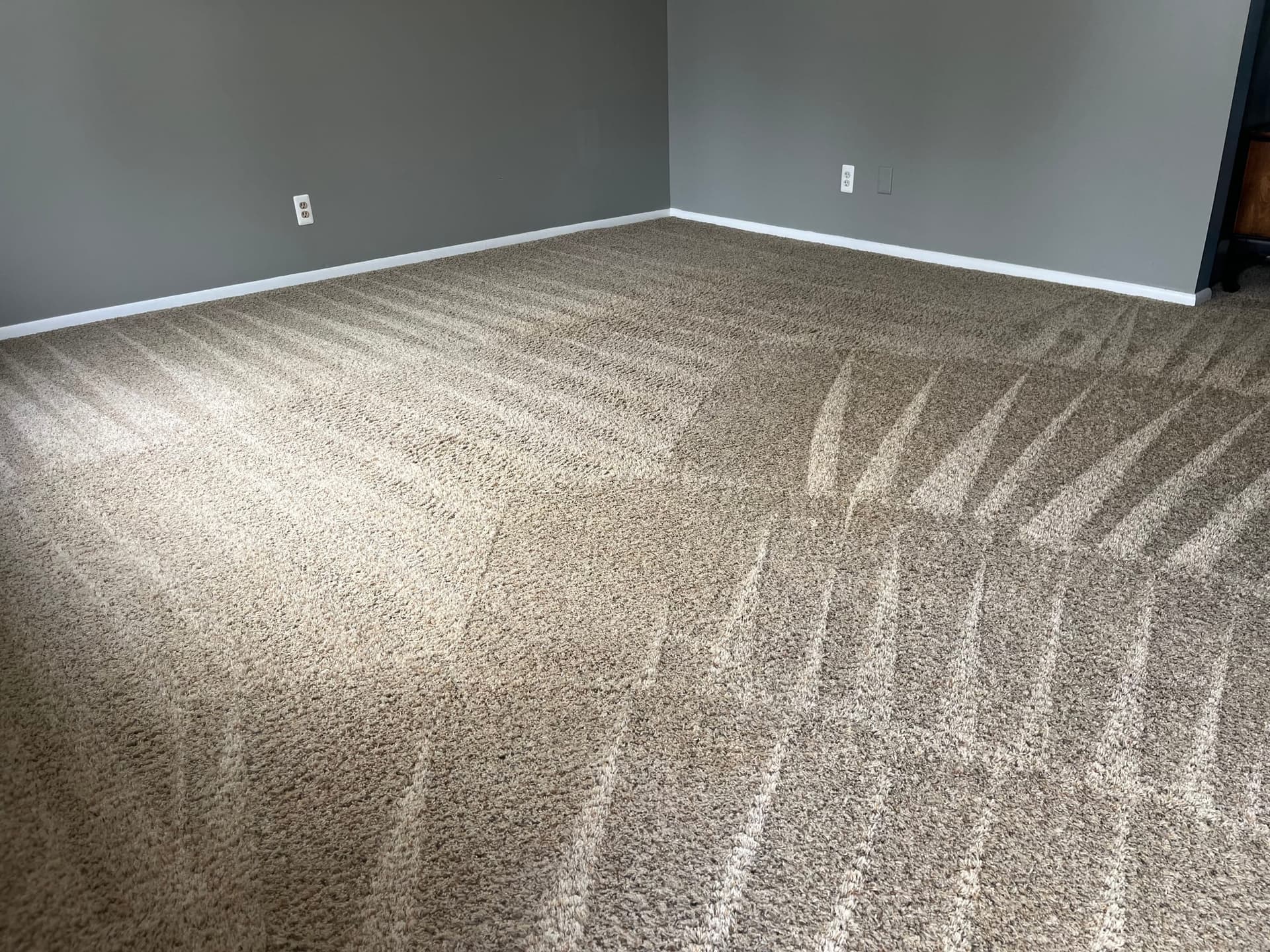 Eco-Dry Carpet Cleaning job photo 6