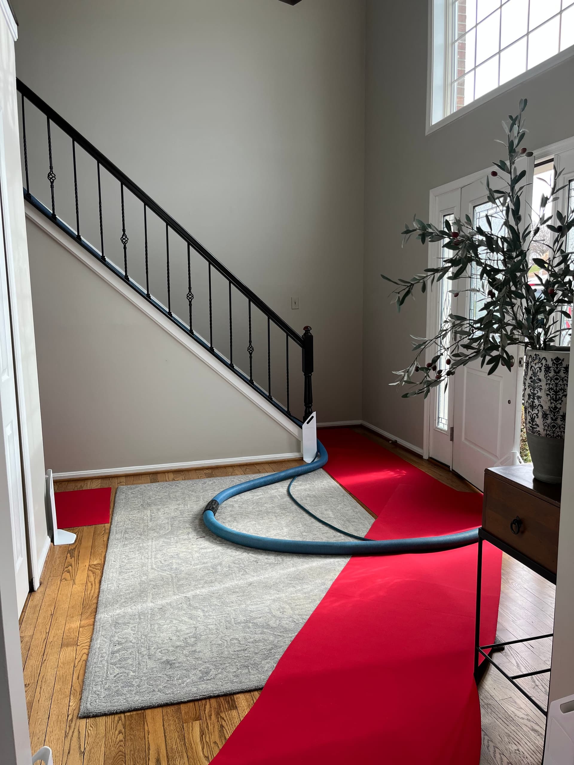 Entry rug beside wood flooring and stairs with protective red runners and a hose