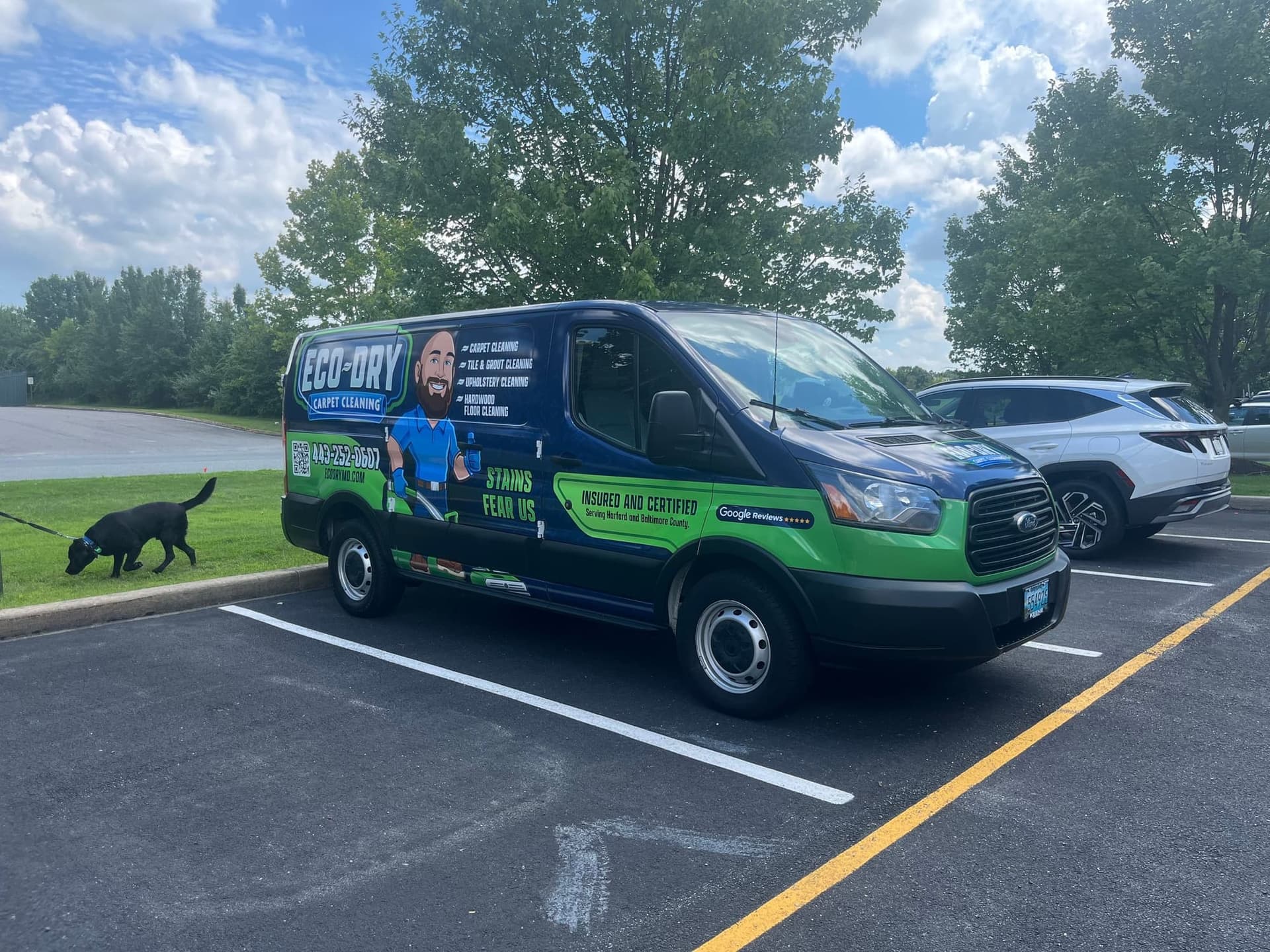 Eco-Dry van in a parking lot with a dog nearby