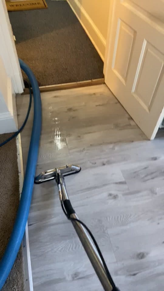 Cleaning wand on pale wood-look vinyl planks near a doorway