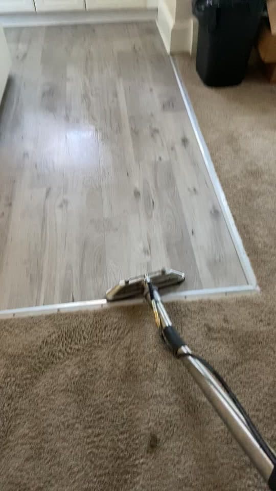 Cleaning wand at a pale vinyl-to-carpet boundary
