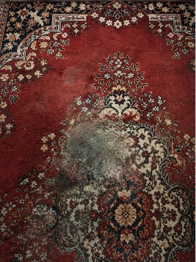 Eco-Dry area rug before cleaning with a large stain