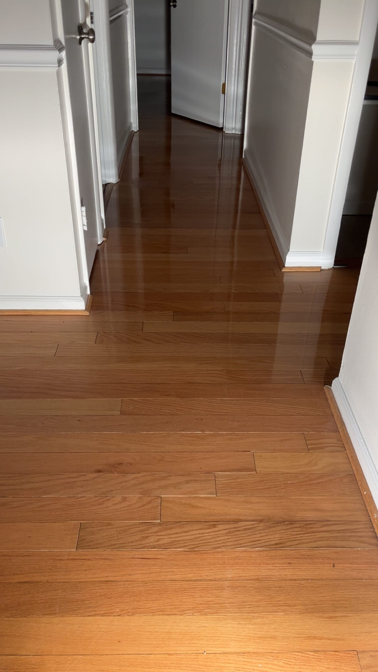 Hardwood floor care by Eco-Dry