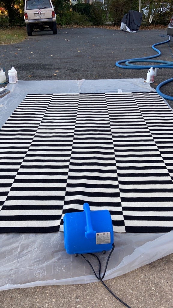 Area rug cleaning on site in a Baltimore area home