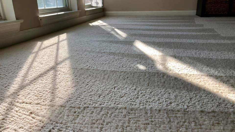 Routine carpet cleaning helps eliminate stubborn pollutants like grease and soil compounds attached to carpet fibers, which gradually ruins the fabric. Unfortunately, conventional carpet cleaning methods may prove ineffective and pose environmental concerns. The good news is that there’s a safer and more efficient way to keep your carpets fluffed, fresh, and cleaned according to the highest standards. The Eco-Dry Carpet Cleaning Solution Eco-Dry applies a unique cleaning detergent that emulsifies and encapsulates soil compounds, enabling their easy removal without damaging your precious carpets. Being a family-operated business, we understand firsthand how important it is to keep interiors safe and comfortable for residents and visitors alike. Our low VOC-compliant solution contains non-toxic components (no overly potent solvents), keeping your pets and young children safe as they expose themselves to your cleaned carpets.