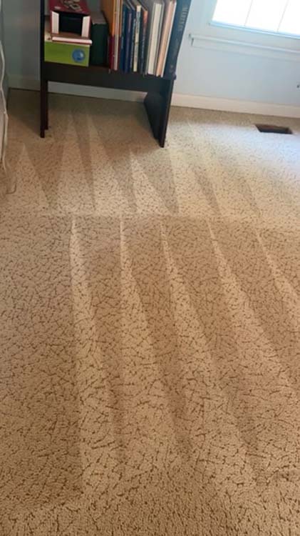 carpet cleaning near me