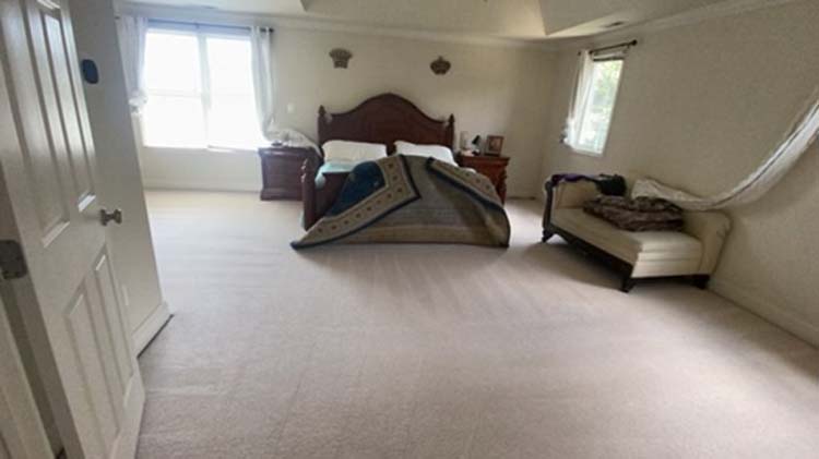 Carpet Cleaning