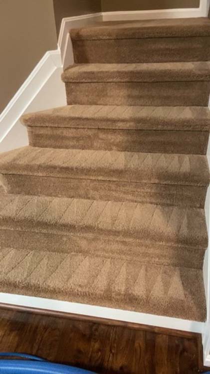 carpet cleaning company near me